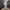 Albus Dumbledore – Harry Potter Fan Art | Detailed Wizard Fi