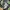 Metapod #011 Cookie Cutter