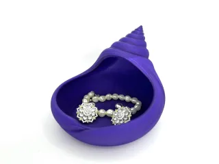 Sea shell jewelry organizer