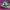 🪷 ロータスガーディアンキャットボウル