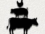 three farm animals WALL ART HOME DECOR-0