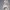 Birth of Venus Classical Sculpture – Detailed Art Statue