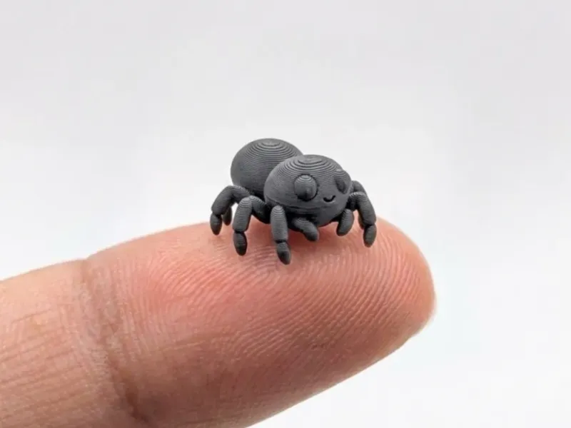 Petite araignée