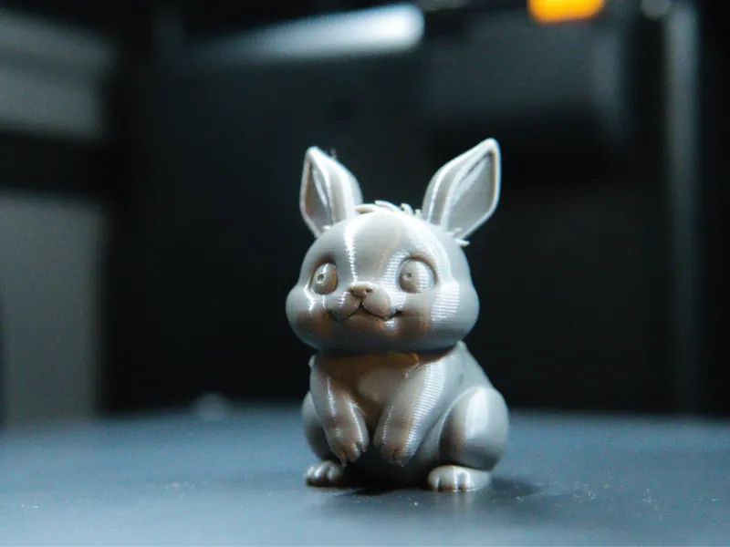 Cute Rabbit
