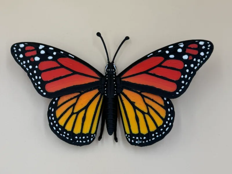 Majestic Monarch Butterfly