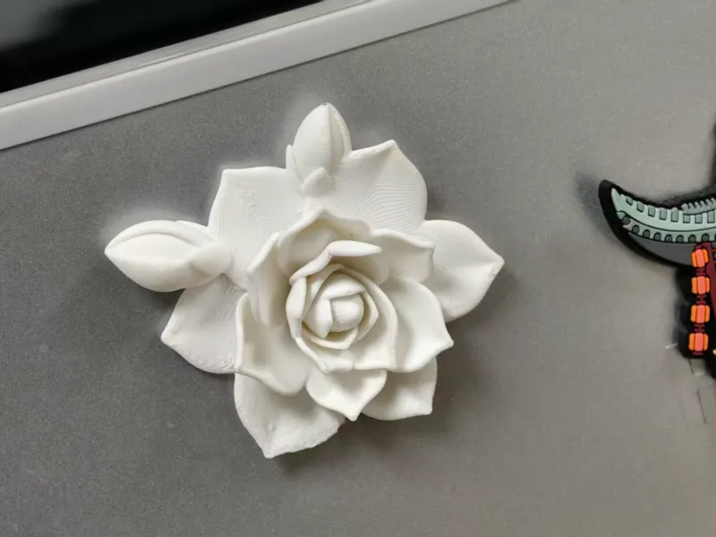 Aimant de réfrigérateur Gardenia
