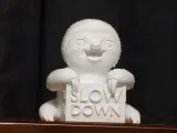 SLOTH SLOW DOWN-0