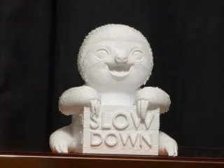 SLOTH SLOW DOWN
