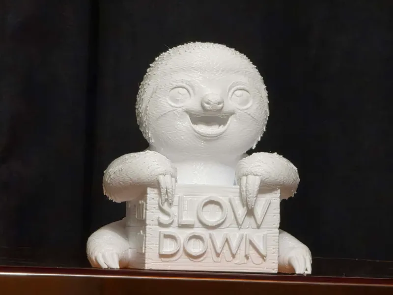 SLOTH SLOW DOWN