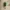 TOAD KEY HANGER SUPER MARIO WALL MOUNTED für HOME FAMILY