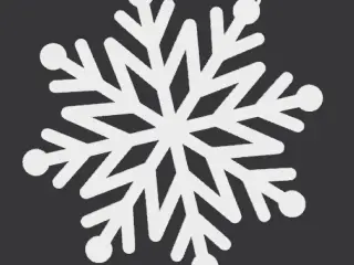 White Snow Flake