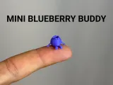 Mini Blueberry Buddy-0