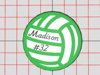 Volleyball Madison