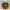 3961Color 3D Model of Beautiful Gorgon with Snake Hair STL