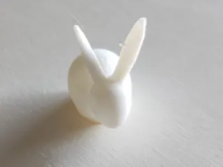 Cute Mini Bunny