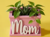 Mom Planter Box-0