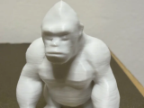 Gorilla-0