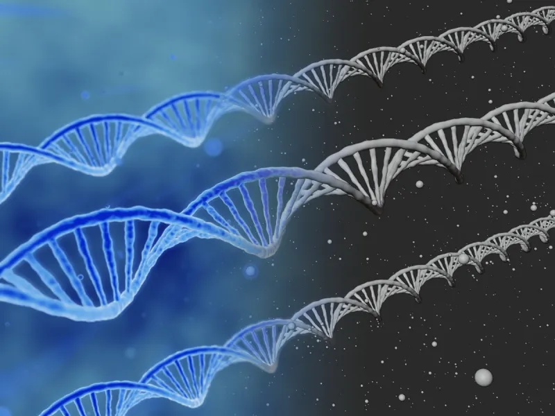 DNA Double Helix Scientific Structure Animated 3D Model