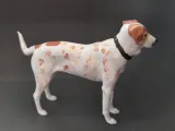 Pointer/American Foxhound-0