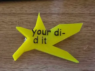 your did it pin