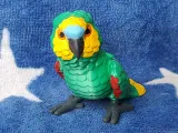 Amazon Parrot-0