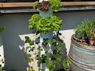 Hydro Tower - Growing Tower