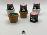 Cliquet de chaton en pot-0