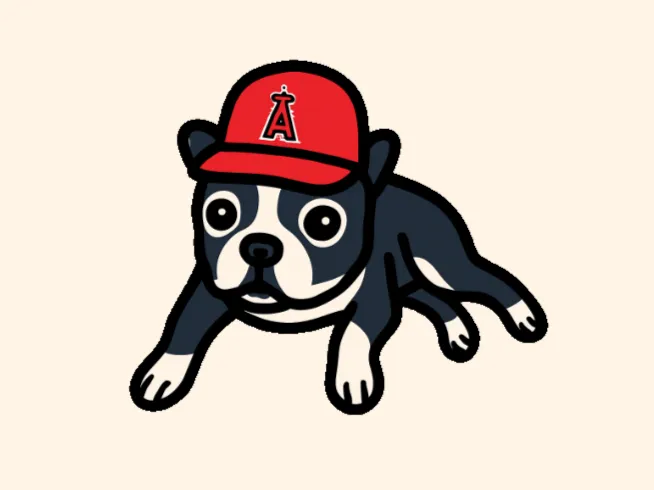 BOSTON PUP WEARING ANGELS HAT