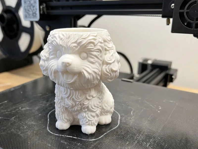 Maceta de caniche