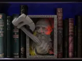 Dwarf Booknook-0
