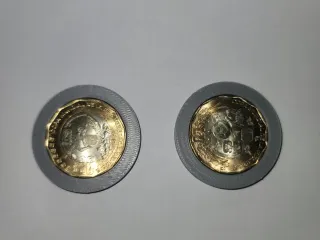 Coleccionador de monedas