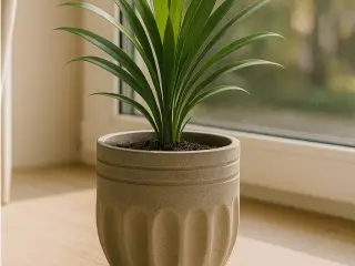 Maceta Jarron
