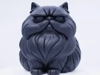 Cute Grumpy Cat