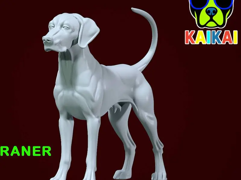 Weimaraner model - Weimaraner Vorstehhund - 3D print