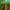 Letter Palm Tree — climbing alphabet toy