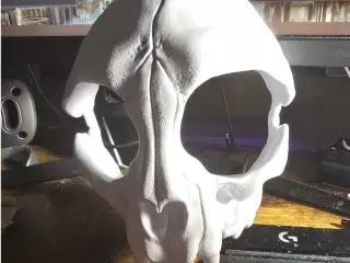 wearable cat skull mask