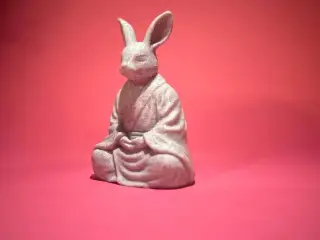 Meditating bunny