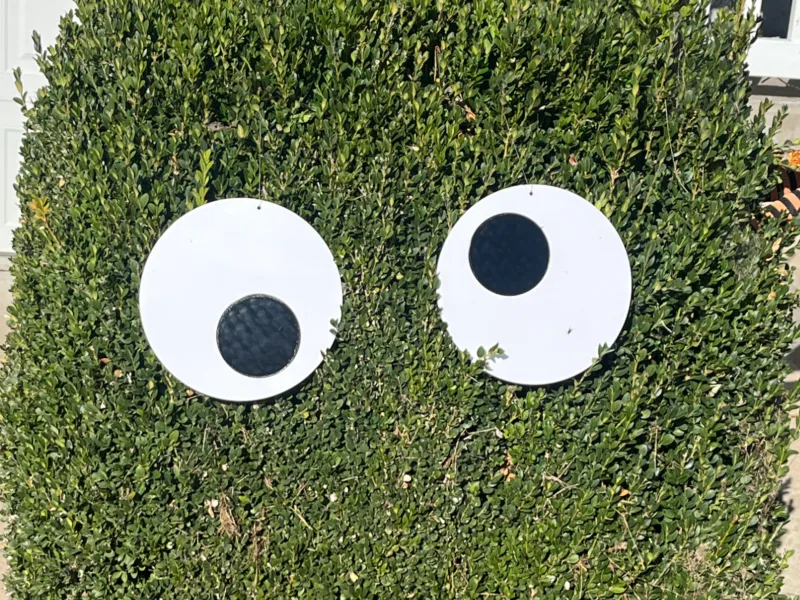 Ojos Saltones para Arbustos