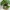 🌱 Decorative Plant Pot – 2-Part Design with Drainage | FREE