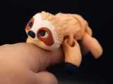 Little Sloth Flexi Multicolor 3MF-0