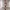 Femboy Charm - Slender Model Figurine