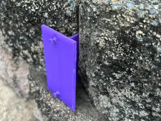 Lbacking