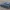 Scimitar tank