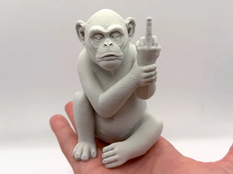 Middle Finger Monkey
