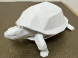 Low poly turtle-0