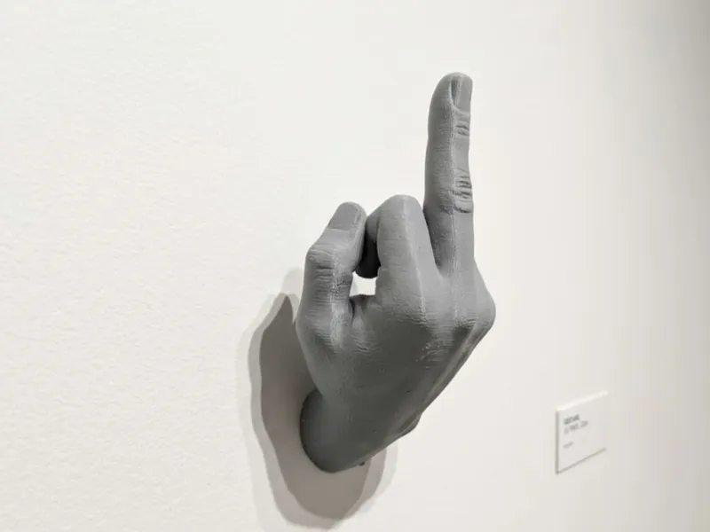 Rude middle finger wall hanger decoration