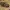 French tank 1940 WW2 for tabletop game Laffy truck