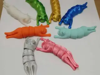 cat flexi