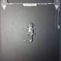 Gecko Fridge Magnet-5
