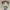 Funko Ghost of Yotei